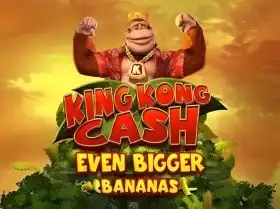 1xbet miror
